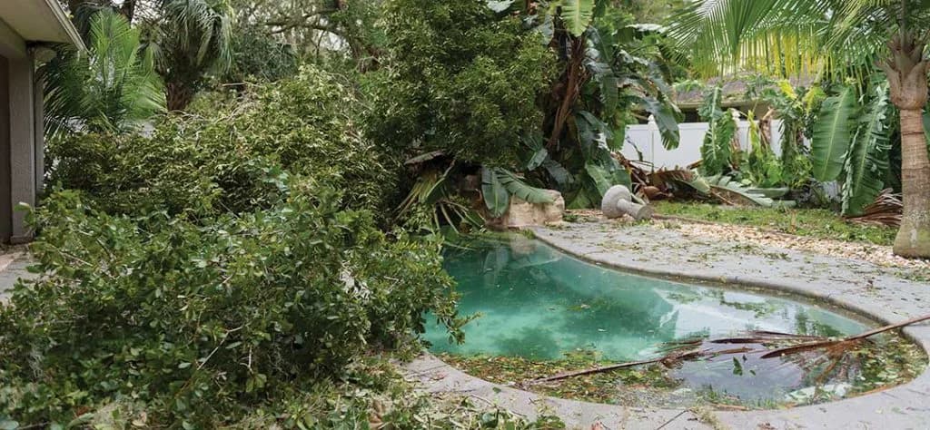 Did the Storm Make a Mess of Your Pool?
